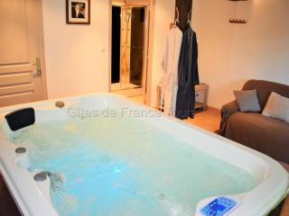 Gîte de charme en Touraine avec spa privatif - FR-1-381-84 - 1