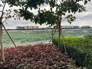 Lovely 1BR near Solaire, Okada I 5mins to Airport - 7