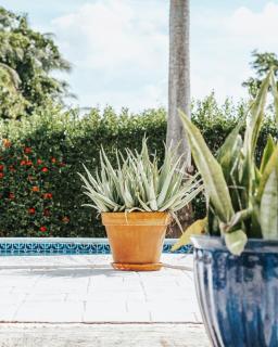 Private Pool 3 Bedrooms Oasis Sandalwood Escape - 6