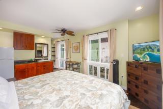 Kona Polynesian Studio Apt, Where Seagrass Sways - Kailua-Kona - 9