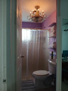 Authentic and Lindo Departamento - Puerto Vallarta - 9