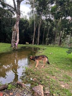 Chalé Goiabeira - 1