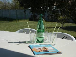 Maison familiale à Notre-Dame-de-Monts pour 8 pers., terrasse et jardin - FR-1-540-321 - 8