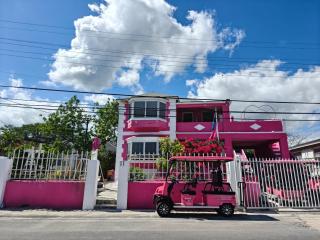 Da Pink And White Palace - Nassau - 8