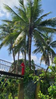 Khu Vườn Tỉnh Thức Tâm Giao Homestay & Coffee - Tuy Hoa - 4