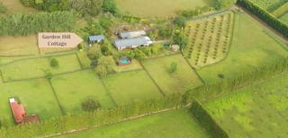 Garden Hill Cottage, Maungatapere - - 9