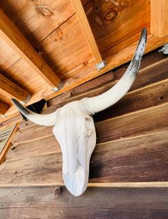Cozy, Modern Cabin Retreat 8 min to Windham mtn - - 1