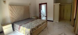 COCONUT TREE villa - Demanhandiya - 5