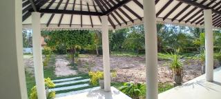 COCONUT TREE villa - Demanhandiya - 1
