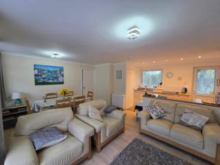 17 River Banks - Liskeard - 6