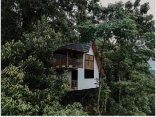 Wild Stories by Bestinn Leisure - Munnar - Anachal - 0