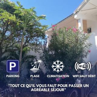 Les zoizeaux - T2 à 100m de la plage de l'ermitage - Saint-Paul - 0