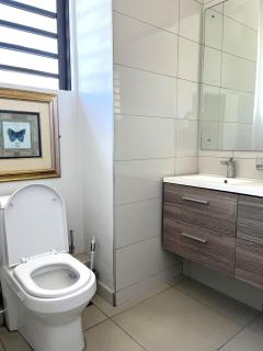 Salineo II Penthouse - Tamarin - 1