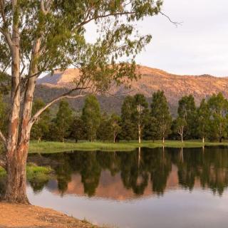 Valley Views - Myrtleford - 1