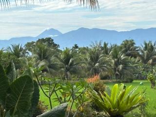 Sumatra Expedition Lodge - 2