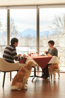 Izumigo Yatsugatake Dog Paradise Cottage - Hokuto - 4