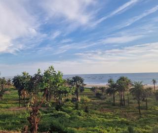 Domaine le Flamboyant - 1