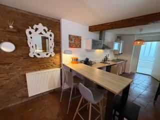 Appartement hyper-centre - Pont Neuf - St Cyprien - Toulouse - 4