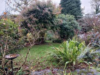 Pen-y-Bryn Hilltop Rest - Self contained 2 bed apt - Max 4 people - Morriston - 1