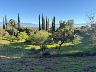 Riverside Views & Pool Retreat - Riverside - 5