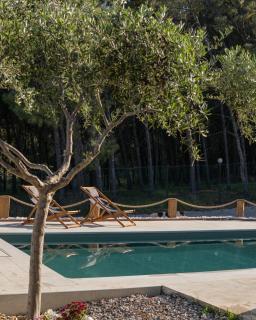 The Forest Villa - 5