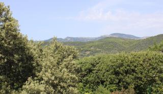 Le Pas du Ventoux - 3