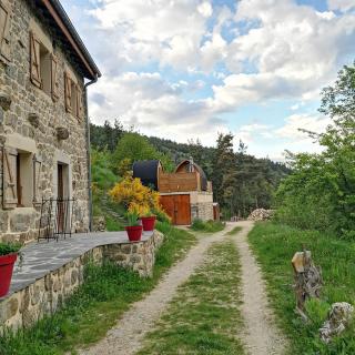 Le Cocon du Vivarais - Rochepaule - 8