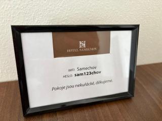 Hotel Samechov - Apartmán u Sázavy pokoj č 11 - Benešov - 6