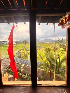 My Kubu - Jembrana - 3