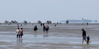 Seehütte Ferienwohnung 5,24 - Cuxhaven - 4