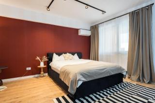 Ivory Concept Studio 53 - 5