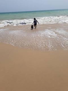 Paradise - - 7