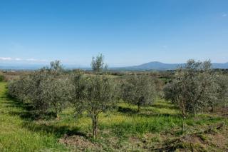 Poggio di Cammilletto - Montefiascone - 4