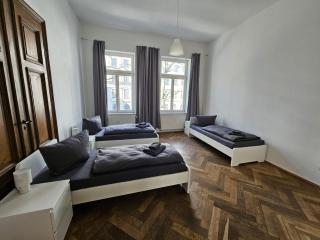 Sehr große Unterkunft mit 6 Schlafzimmern, Küche, Bad und großem Wohnzimmer im Herzen von Leipzig - Leipzig - 8