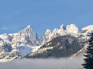 Appartamento Ciclamino - Andalo - 6