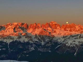 Appartamento Ciclamino - Andalo - 5