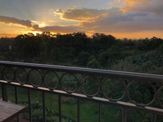 Bella Vista! Sweeping nature views in Kileleshwa! - Nairobi - 9