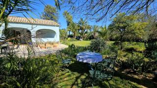 Casa rural Villa Moral - El Arahal - 9