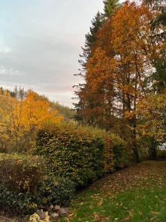 Ferienhaus Talblick, im Luftkurort Finsterbergen - Friedrichroda - 6