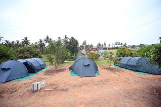 Tinton Adventure Resort - Golikatte - 7