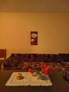 Cozy little flat in Karlovo - Karlowo - 9