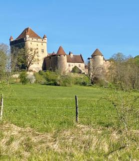 Le Temps d'une Vendange - Lavigny - 6