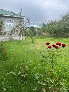 Gabala Home - Gabala - 3