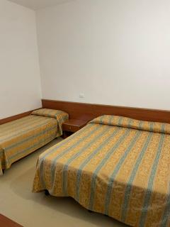 Hotel Zeus - Lido di Classe - 1
