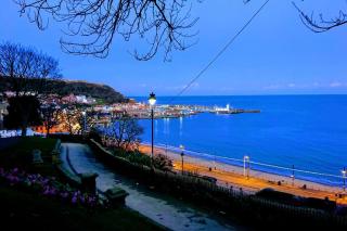 The Shelldrake - Scarborough - 9