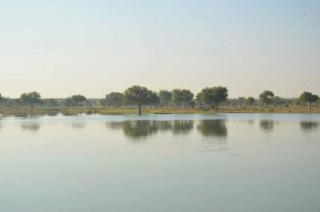 Jimmy Desert guesthouse & Safari - Jaisalmer - 4