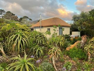 Beau's Cape Retreat - Hout Bay - 6