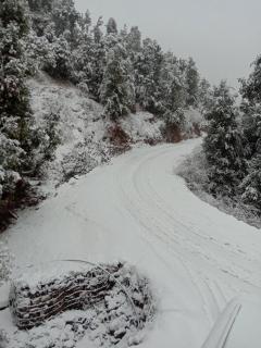 Shivansh Resorts & Restaurant - 2