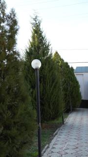 Hostelhome - Türkistan - 6