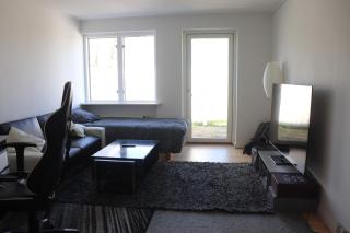 Cozy One Room Apartment - Roskilde - 0